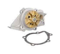 Hepu P836 Bomba de agua