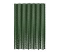 Hepzest Paquete de 25 Estacas de JardíN - Jaula para Plantas con Revestimiento de PláStico y Metal Que Admite la Escalada para Tomates, áRboles, Pepinos, Vallas, Frijoles, 40 Cm