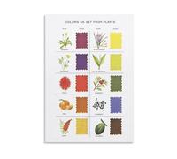 Herbal Dye Color Chart Wall Art Vintage Botanical Poster Natural Plant Colors Print for Home Decor Kitchen or Craft Room(Unframed,08X12inch(20X30cm))