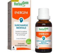 Herbalgem Energem Sobrecarga Mental Bio 30 ml