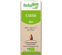 Herbalgem Grosellero Negro Bio 15ml