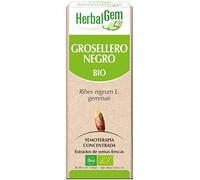HERBALGEM Grosellero Negro BIO - Macerado Concentrado de Yemas Frescas - Vitalidad, Articulaciones y Eliminación de Toxinas - Complemento Alimenticio Vegano - Spray 15 ml