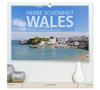 Herbe Schönheit Wales (hochwertiger Premium Wandkalender 2026 DIN A2 quer), Kunstdruck in Hochglanz: Hanna Wagner zeigt Impressionen aus dem eigenwilligen walisischen Teil des Vereinigten Königreichs.