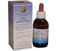 Herboplanet Msa Aesculus Hip. Yemas Castaño De Indias 1 unidad 50 ml