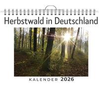 Herbstwald in Deutschland: (Wandkalender 2026, Kalender DIN A4 quer, Monatskalender im Querformat mit Kalendarium, das perfekte Geschenk)