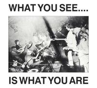 Here and Now & Alternative T What You See Is What You Ar (CD) (Importación USA)