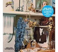 Here Come The Warm Jets [Vinilo]