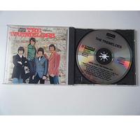 Here Comes The Tremeloes