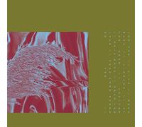 Here From Where We Are [Vinilo]