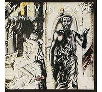 Marvin Gaye Here, My Dear (CD) Album (Importación USA)