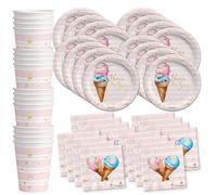 Here's The Scoop Ice Cream Party Supplies Set Platos Servilletas Tazas Vajilla Kit para 16