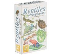 Heritage Playing Cards - Juego de cartas [importado]