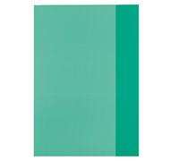 Herlitz 5214010 - Funda de plástico (A4, 25 unidades), color amarillo, color verde A4