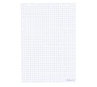 Herlitz - Lote de papel cuadriculado para rotafolio (5 unidades, 20 hojas, papel reciclado, 68 x 99 cm)