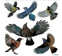 HERMA 15539 Juego de pegatinas para ventanas de pájaro de advertencia, 2400 unidades, 30 x 30 cm, autoadhesivas, extraíbles y reutilizables, protección contra pájaros para ventanas, de película dura