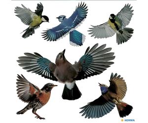 HERMA 15539 Juego de pegatinas para ventanas de pájaro de advertencia, 2400 unidades, 30 x 30 cm, autoadhesivas, extraíbles y reutilizables, protección contra pájaros para ventanas, de película dura