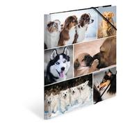 HERMA 19211 Carpeta de dibujo Animales con motivo de Canino, A4, cartón resistente, con impresión interior, carpeta de 1 palmo