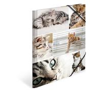 HERMA 19212 Carpeta de dibujo Animales con motivo de Gatos, A4, cartón resistente, con impresión interior, carpeta de 1 palmo