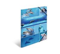 HERMA 19221 - Carpetas A3 de animales, delfines, paquete de 3, carpetas de esquina de cartón para niños con impresión interior y banda elástica, juego de carpetas de cartón resistente para niños y