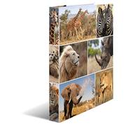 HERMA 19307 - Carpetas de anillas tamaño A4 con diseño de animales africanos, paquete de 3, delgadas, 4 anillos, 35 mm de ancho, carpeta de cartón con impresión interior para escuela y oficina, juego