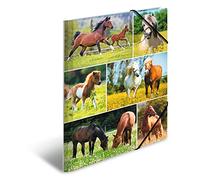 HERMA 19342 Carpeta A4 Tierwelten Pferdewiese, Kinderspanner-Carpeta de cartón con impresión interior y goma elástica, estable de cartón para niños y niñas