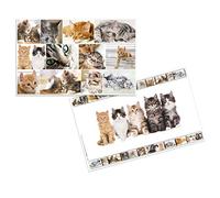 HERMA 19379 - Juego de 3 protectores de escritorio con diseño de animales y gatos, 55 x 35 cm, antideslizante, lavable y con motivo impreso en ambos lados, de cartón estable, base para mesa para niños