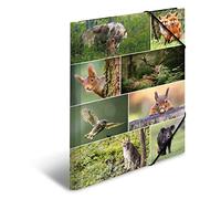 HERMA 19451 - Carpeta DIN A3 con diseño de animales del bosque (3 unidades, cartón resistente, impresión interior y banda elástica)