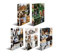 HERMA 19475 Carpeta de anillas, surtido, A4, lomo de 35 mm, Carpeta delgado de 2 anillas de cartón, paquete de 10