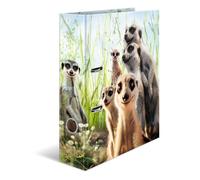 HERMA 20048 Ordner A4 Tiere Erdmännchen, 7 cm breit, Motiv Aktenordner aus Pappe