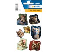HERMA 5747 Pegatinas de animales, gatitos fotógenos (21 pegatinas, papel mate), autoadhesivas, permanentes, diseño de gatitos fotográficos, multicolor
