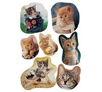 HERMA 5747 - Pegatinas Decorativas de Gatitos fotógenos
