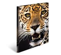 HERMA 7137 Carpeta de dibujo Animales con motivo Leopardo, A4, plástico resistente, con impresión interior, carpeta de 1 palmo