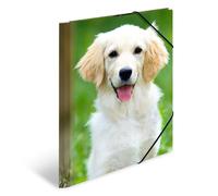 HERMA 7138 Carpeta de dibujo Animales con motivo Canino, A4, plástico resistente, con impresión interior, carpeta de 1 palmo