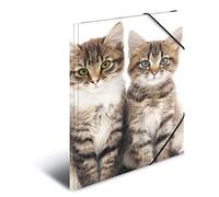 HERMA 7138 Carpeta de dibujo Animales con motivo Gatos, A4, plástico resistente, con impresión interior, carpeta de 1 palmo