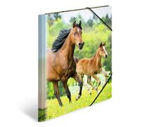 HERMA 7140 Carpeta de dibujo Animales con motivo Caballos, A4, plástico resistente, con impresión interior, carpeta de 1 palmo