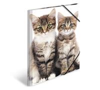 HERMA 7143 Carpeta de dibujo Animales con motivo Gatos, A3, plástico resistente, con impresión interior, carpeta de 1 palmo