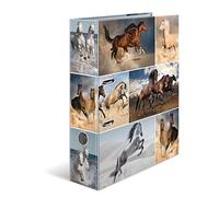 HERMA 7164 Carpeta A4 Animales Caballos 10 Unidades 7 cm de ancho Carpeta de Cartón con Impresión Interior para Escuela y Oficina Robusto Juego de Carpetas de Cartón para Niños y Niñas