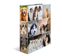 HERMA 7165 Carpeta A4 Animales Perros, Pack de 10, 7 cm de ancho, carpeta de cartón con impresión interior para escuela y oficina, resistente juego de carpetas de cartón para niños y niñas
