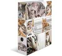 HERMA Archivador de anillas con palanca Animales con motivo Gatos, A4, 70 mm, con estampado interior, 1 carpeta con motivos