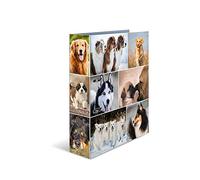 HERMA Archivador de anillas con palanca Animales con motivo Perros, A4, 70 mm, con estampado interior, 1 carpeta con motivos