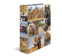 Herma - Archivadores de león A4, 7 cm de ancho, para niños, diseño de animales africanos, colorido con impresión interior, para niños y niñas