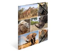 HERMA Carpeta A4 León Juego de 3 carpetas esquineras de cartón para niños con diseño de animales africanos, banda elástica, solapas interiores e impresión interior para niños y niñas