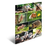 HERMA Carpeta portafolio A3 Roedores, carpeta esquinera infantil de cartón con motivo animal, banda elástica, solapas interiores e impresión interior para niños y niñas