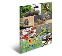 HERMA Carpetas para niños, tamaño A3, con diseño de pájaros, esquineras de cartón con motivos animales, banda elástica, solapas interiores e impresión interior para niños y niñas