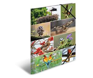 HERMA Carpetas para niños, tamaño A3, con diseño de pájaros, esquineras de cartón con motivos animales, banda elástica, solapas interiores e impresión interior para niños y niñas