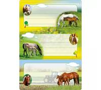 HERMA 5568 Etiquetas para escribir caballos, 6 unidades, 76 x 35 mm, autoadhesivas, a rayas, pegatinas para libros escolares, niños, niñas, niños, pegatinas multicolores, multicolor