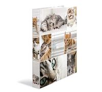 HERMA Juego de 3 carpetas de anillos A4 con diseño de gatos, 35 mm de ancho, carpeta colorida con impresión interior para niños y niñas