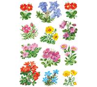 HERMA Pegatinas Decorativas con diseño de Flores de montaña. Flores de Colores.