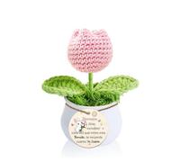 Hermana Regalo de Graduación para Ganchillo Tulipán Rrosa Maceta Cumpleaños Inspirador Mi Niña Flor Hecha A Mano Tejida Mujer Navidad Apreciar Entrar Nuevo Trabajo Decoración del Hogar Adornos