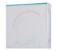 Hermès Eau Des Merveilles Bleue Eau De Toilette Spray 100ml